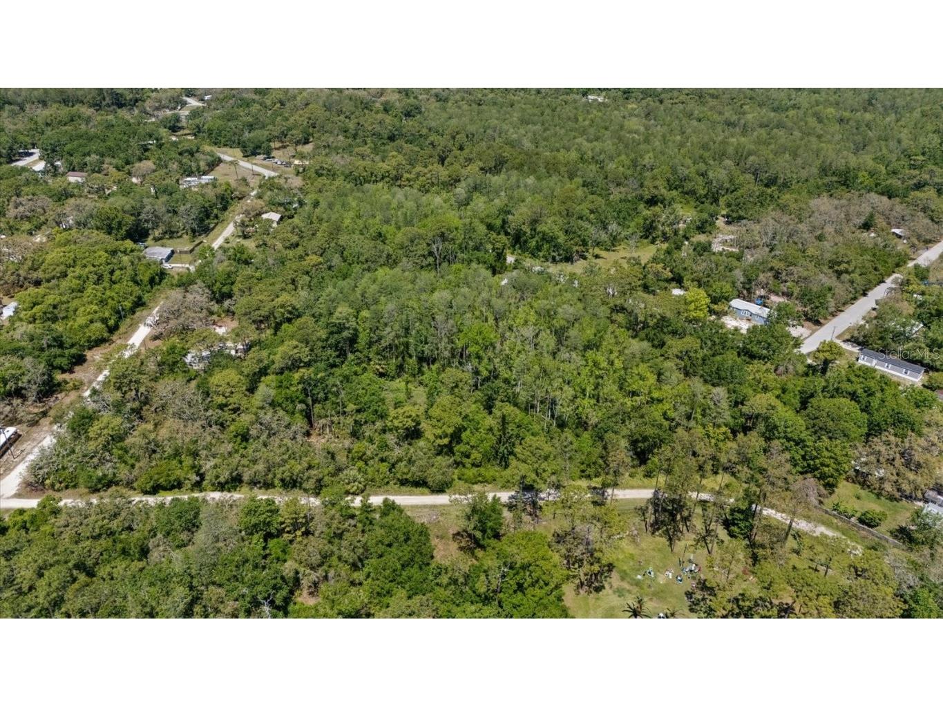 12914 Midvale Avenue New Port Richey FL 34654 W7874568 image3