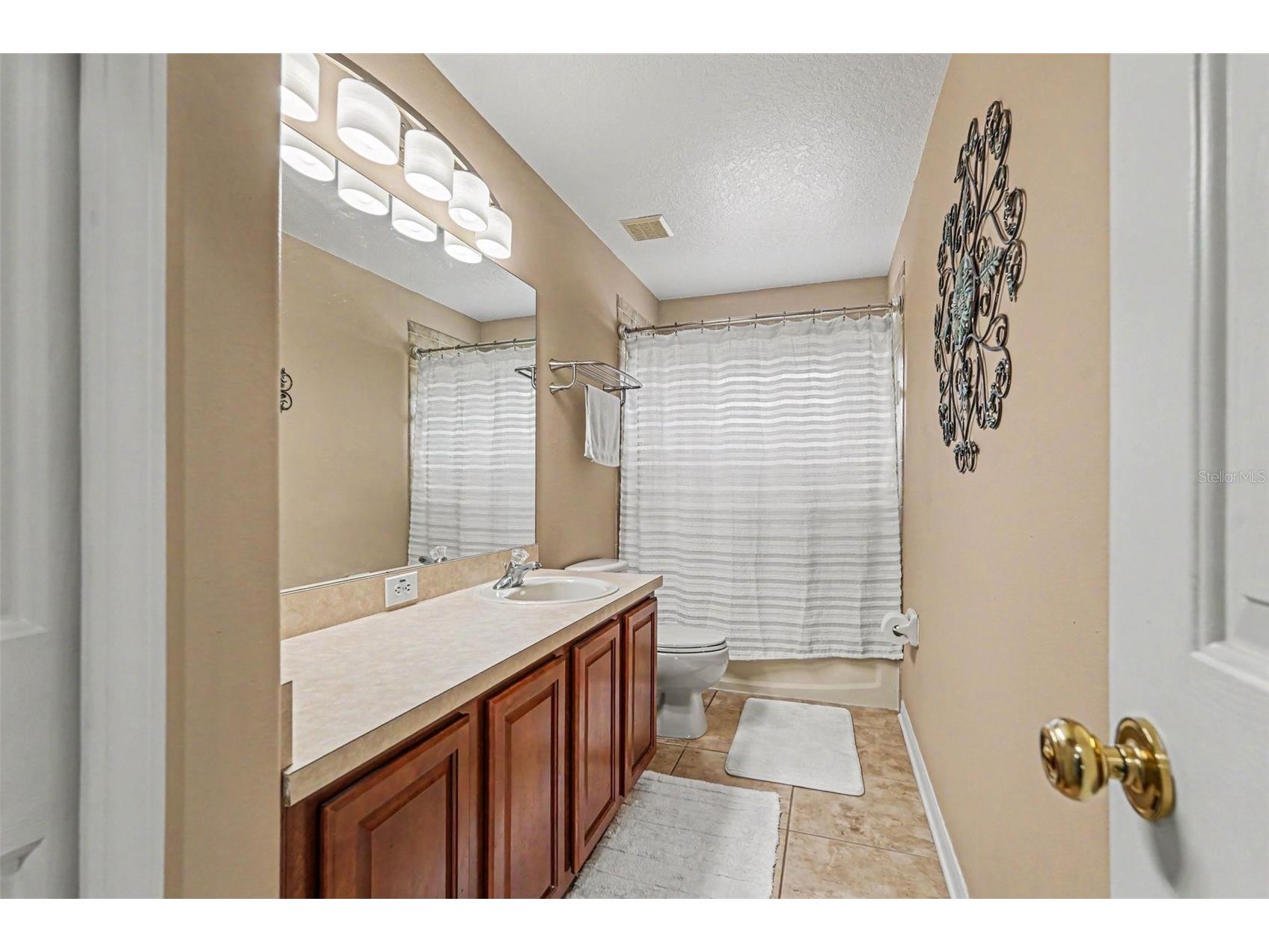 12915 Carlington Ln Riverview FL 33579 TB8519402 image20