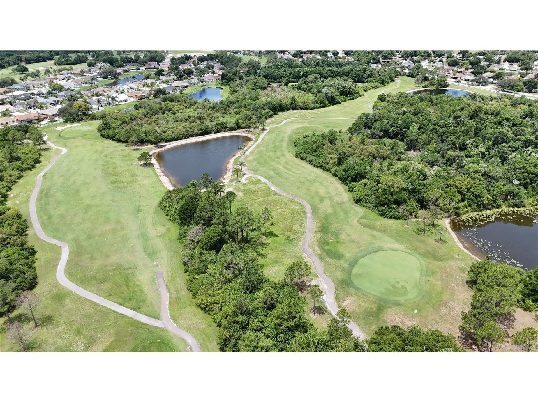 12915 Carlington Ln Riverview FL 33579 TB8519402 image31