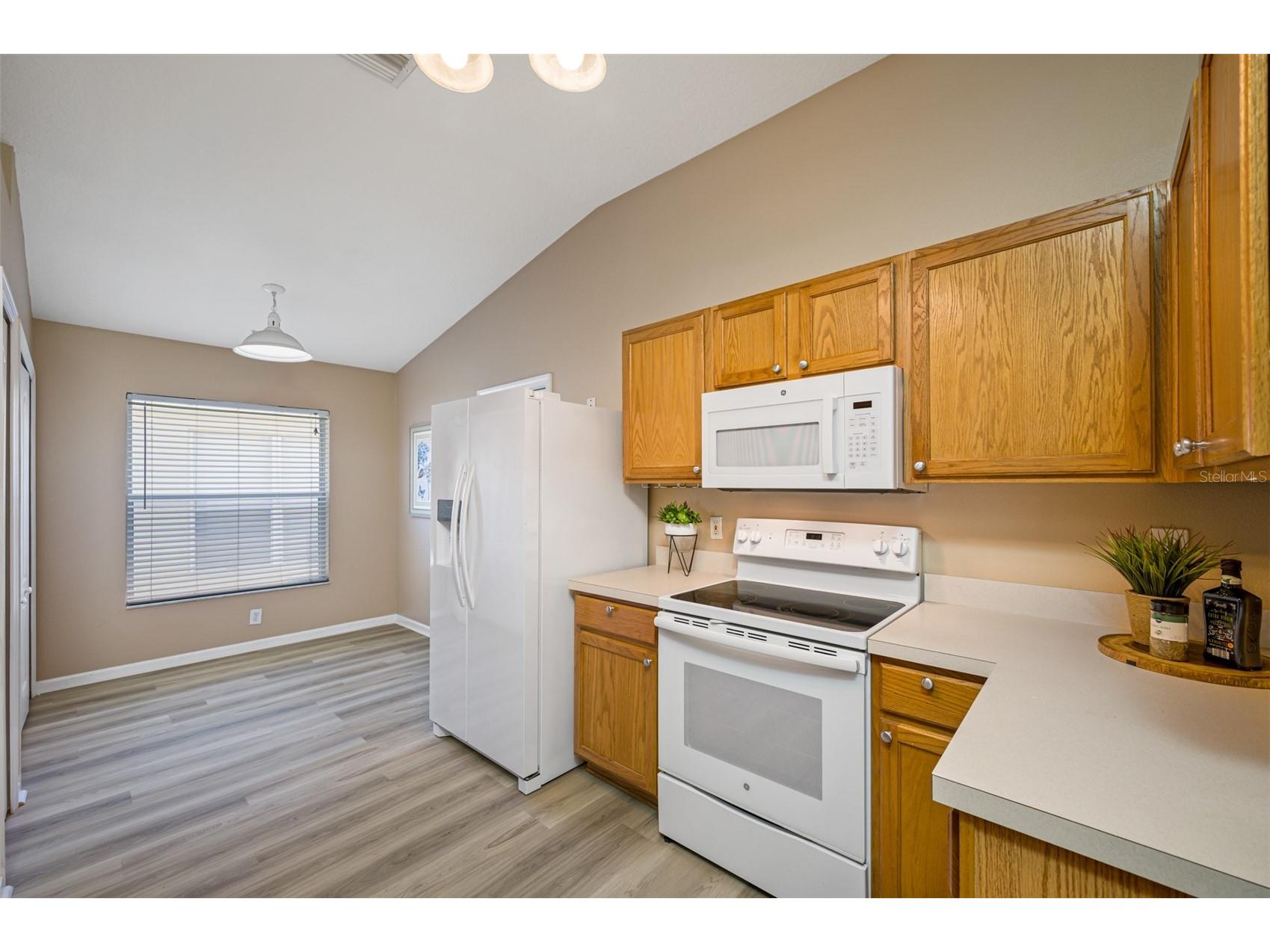 12915 Early Run Lane Riverview FL 33578 TB8518418 image12