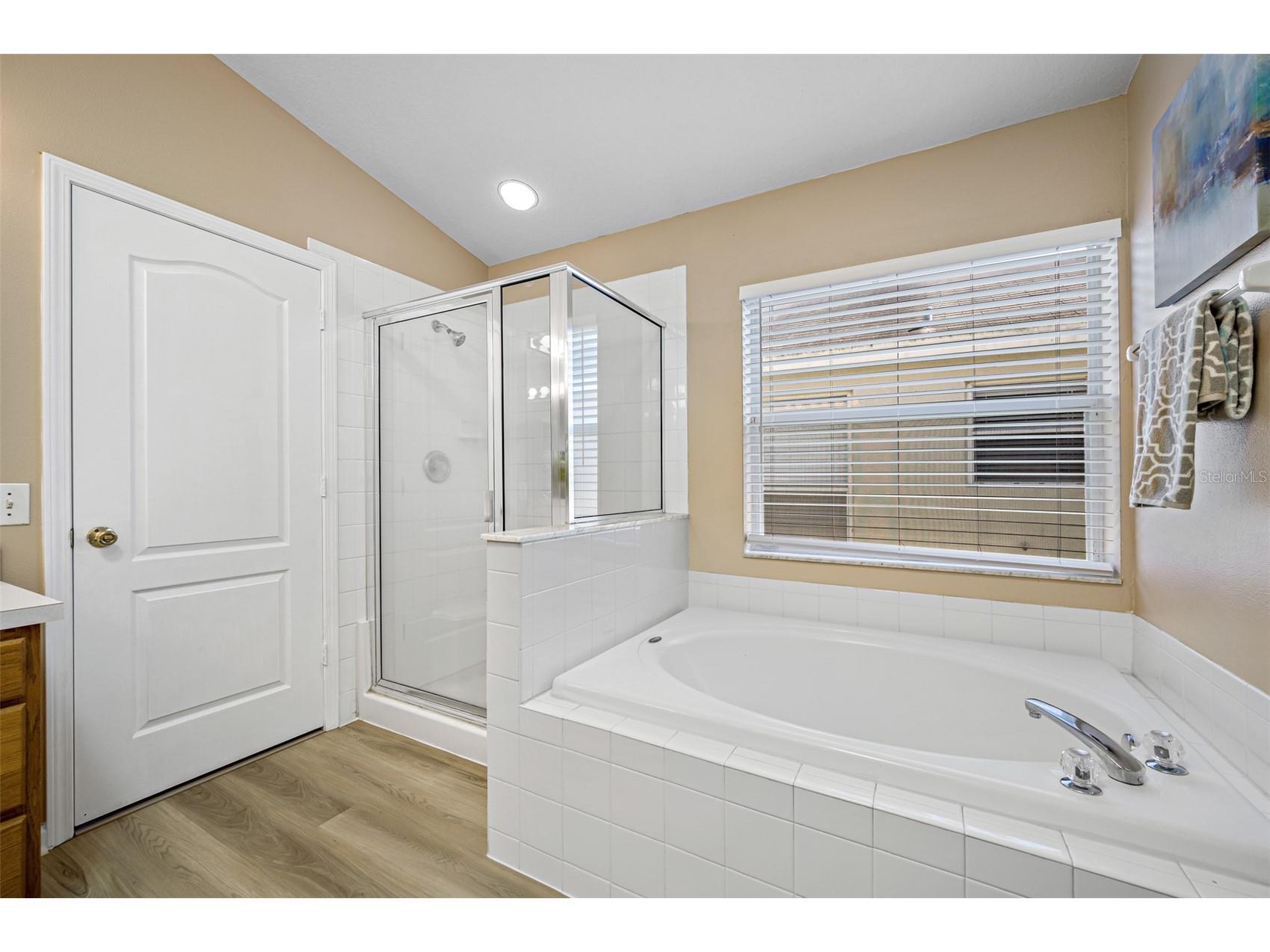 12915 Early Run Lane Riverview FL 33578 TB8518418 image30