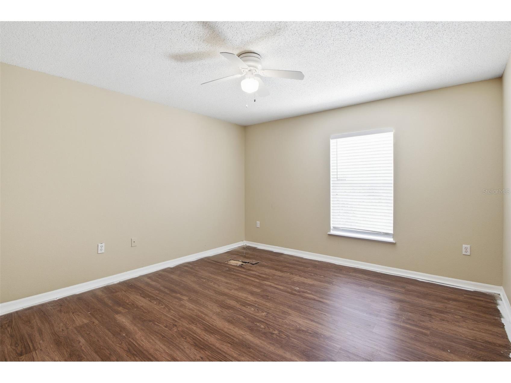 12916 Parkington Drive Gibsonton FL 33534 O6394911 image23