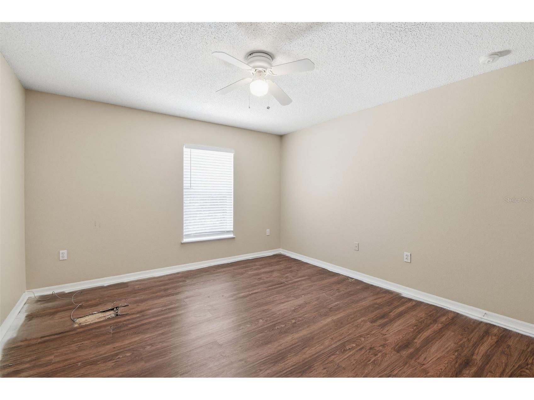 12916 Parkington Drive Gibsonton FL 33534 O6394911 image25