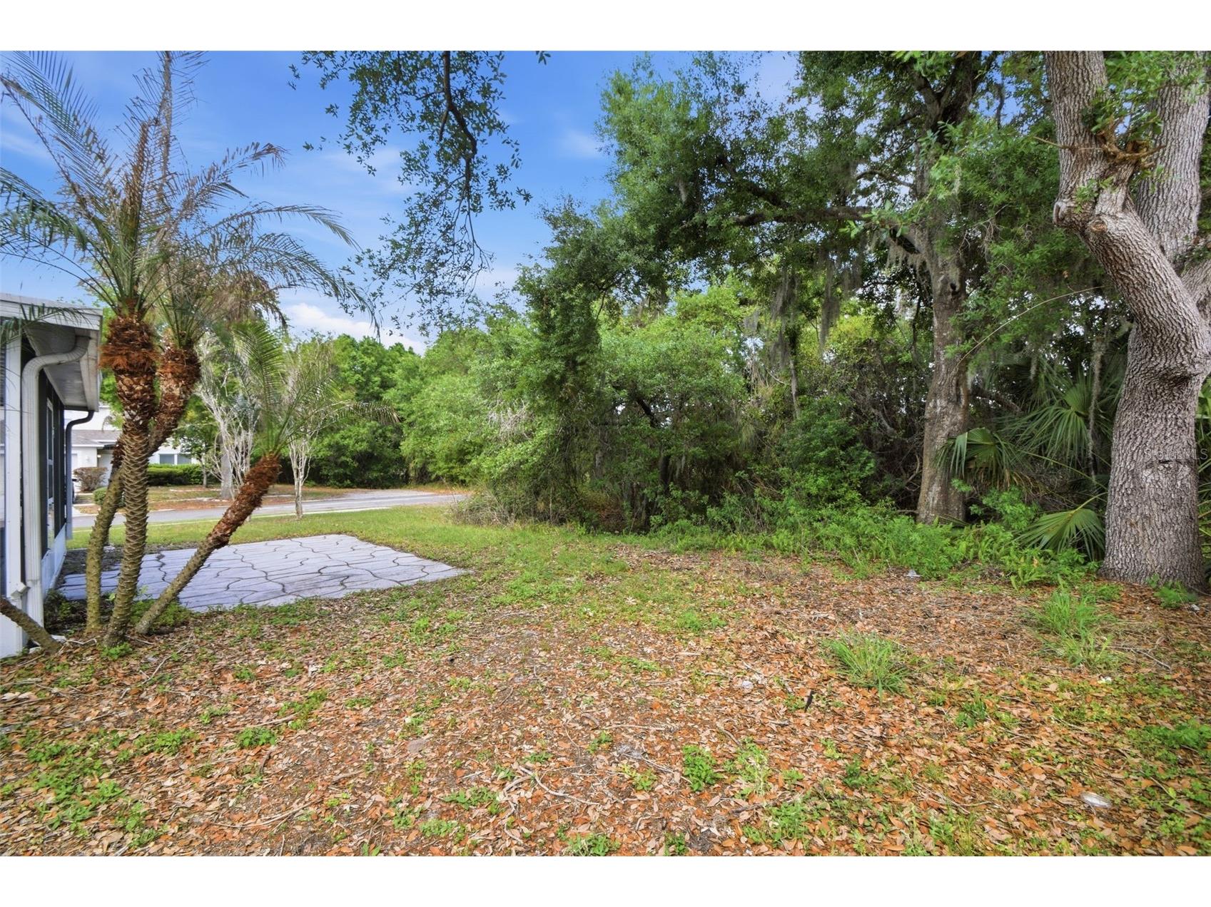 12916 Parkington Drive Gibsonton FL 33534 O6394911 image53