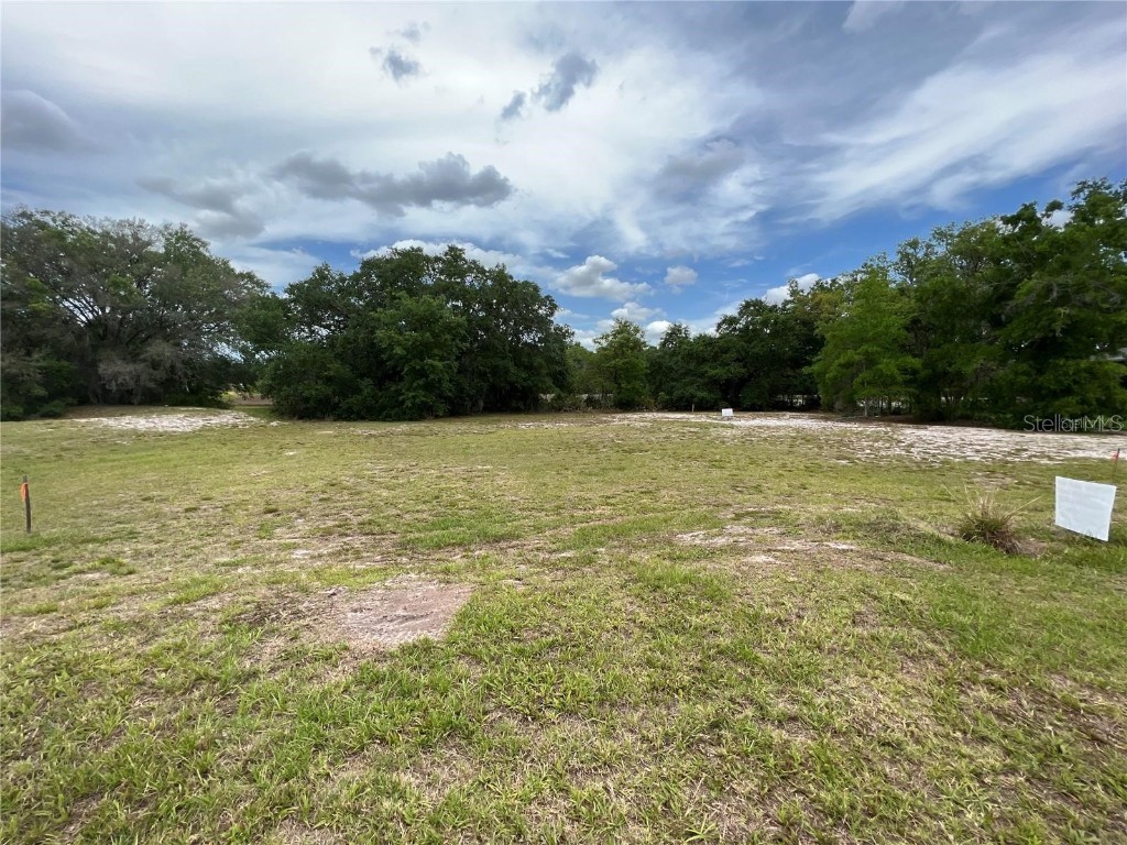 12917 Seronera Valley Court Spring Hill FL 34610 TB8326283 image4