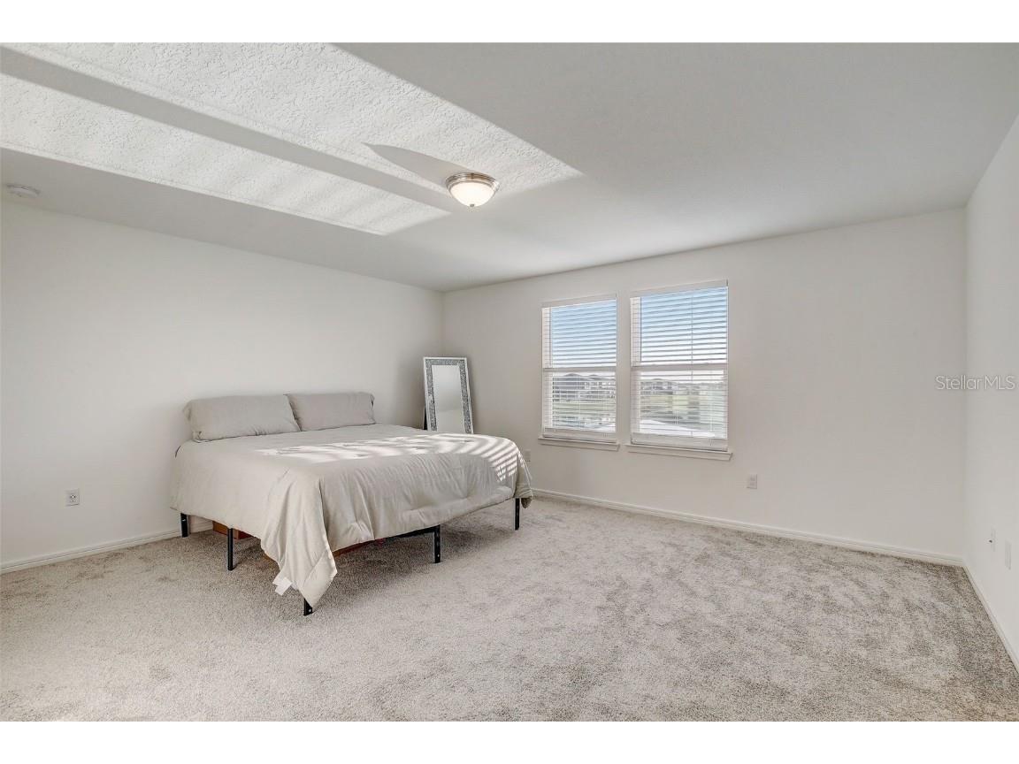 12918 Brookside Moss Drive Riverview FL 33579 T3509565 image21