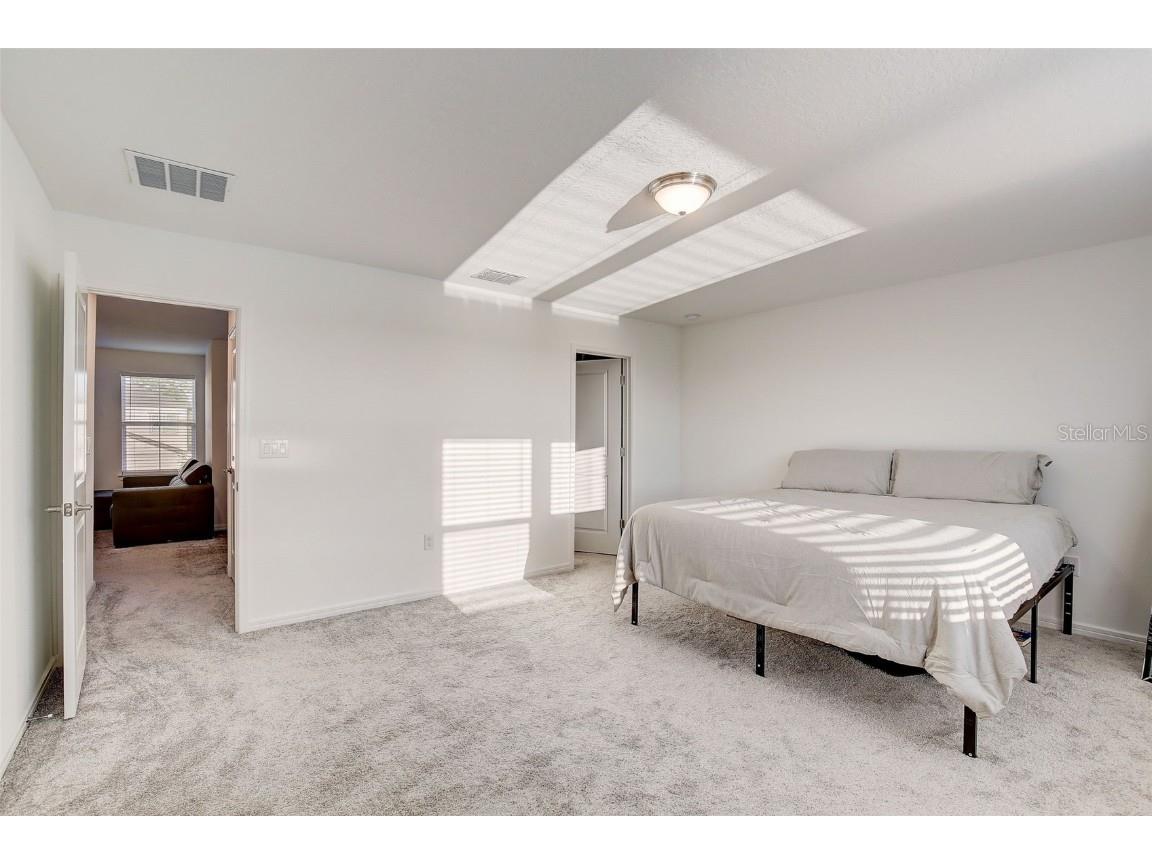 12918 Brookside Moss Drive Riverview FL 33579 T3509565 image23