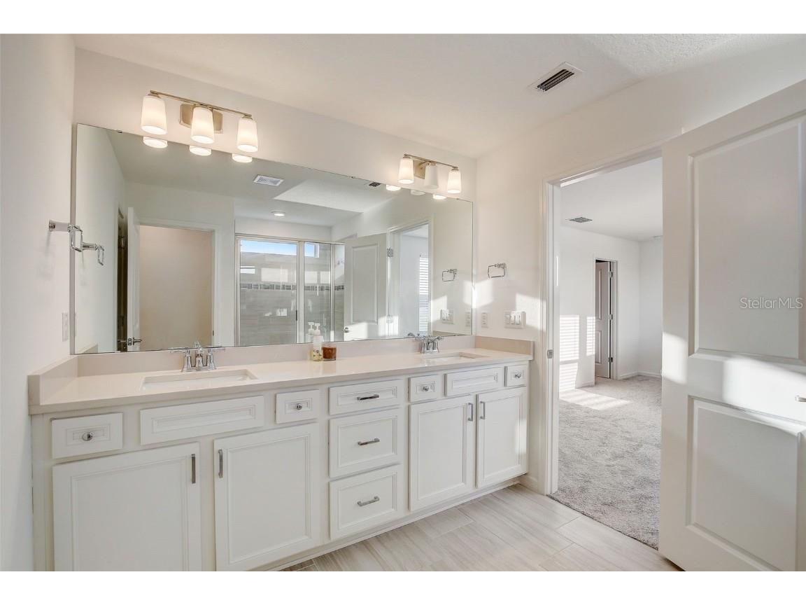 12918 Brookside Moss Drive Riverview FL 33579 T3509565 image28