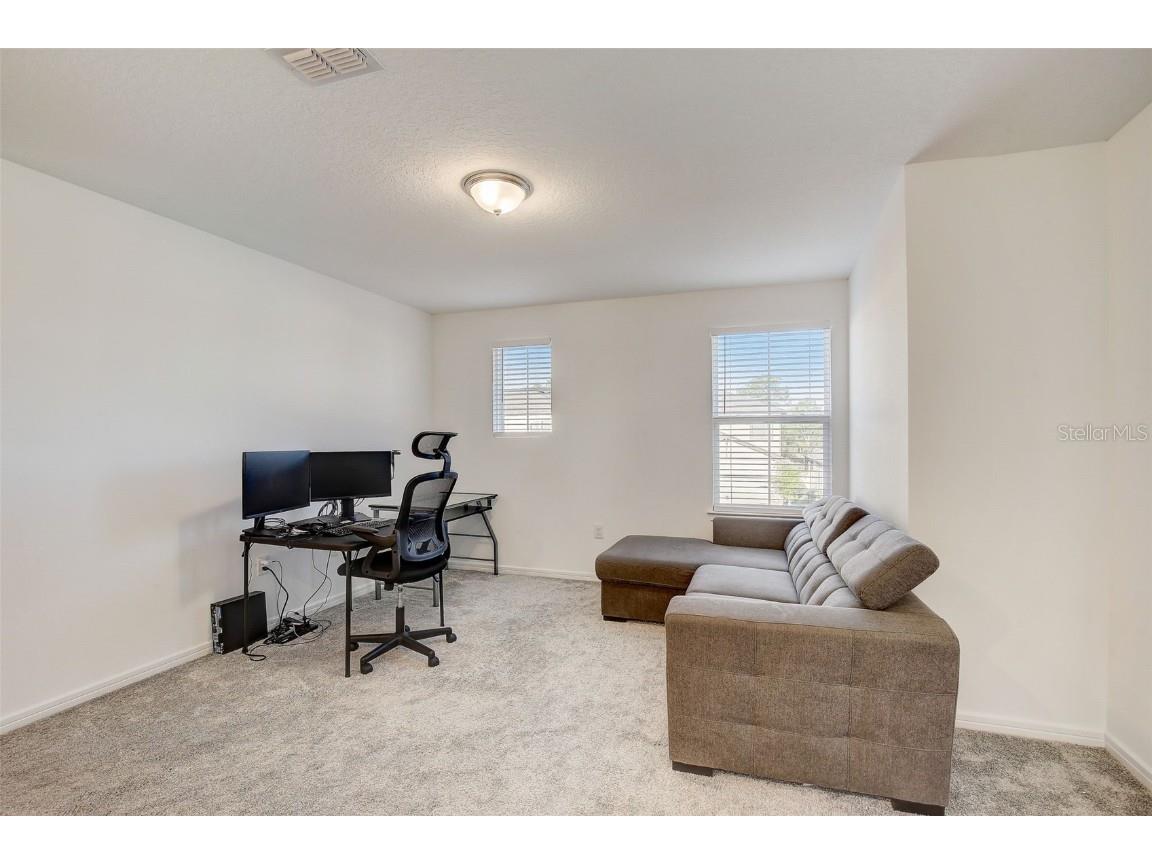 12918 Brookside Moss Drive Riverview FL 33579 T3509565 image29