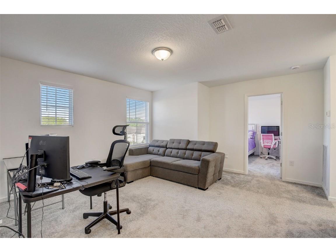 12918 Brookside Moss Drive Riverview FL 33579 T3509565 image30