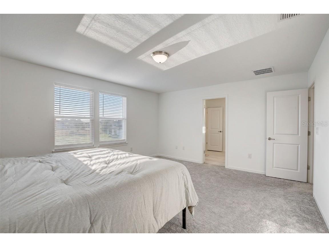 12918 Brookside Moss Drive Riverview FL 33579 T3509565 image39