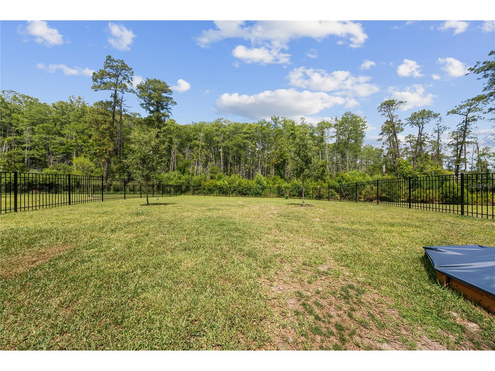 12918 Promise Place Orlando FL 32832 O6409872 image43