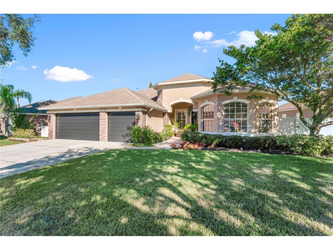 12919 Castlemaine Drive Tampa FL 33626 T3492923 image1