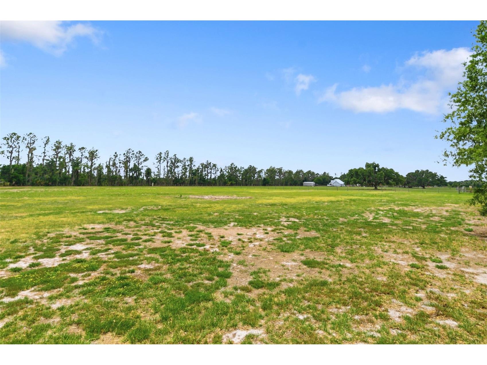 12919 S County Road 39 Lithia FL 33547 TB8478610 image13