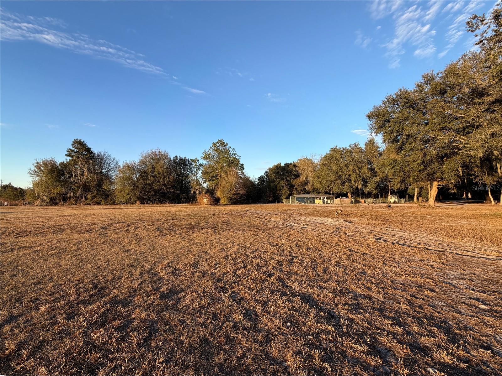 12919 S County Road 39 Lithia FL 33547 TB8478610 image7