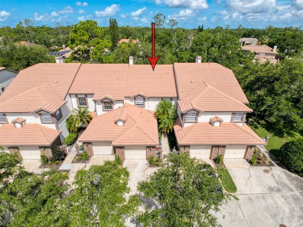 1292 Clays Trail Oldsmar FL 34677 TB8410221 image1