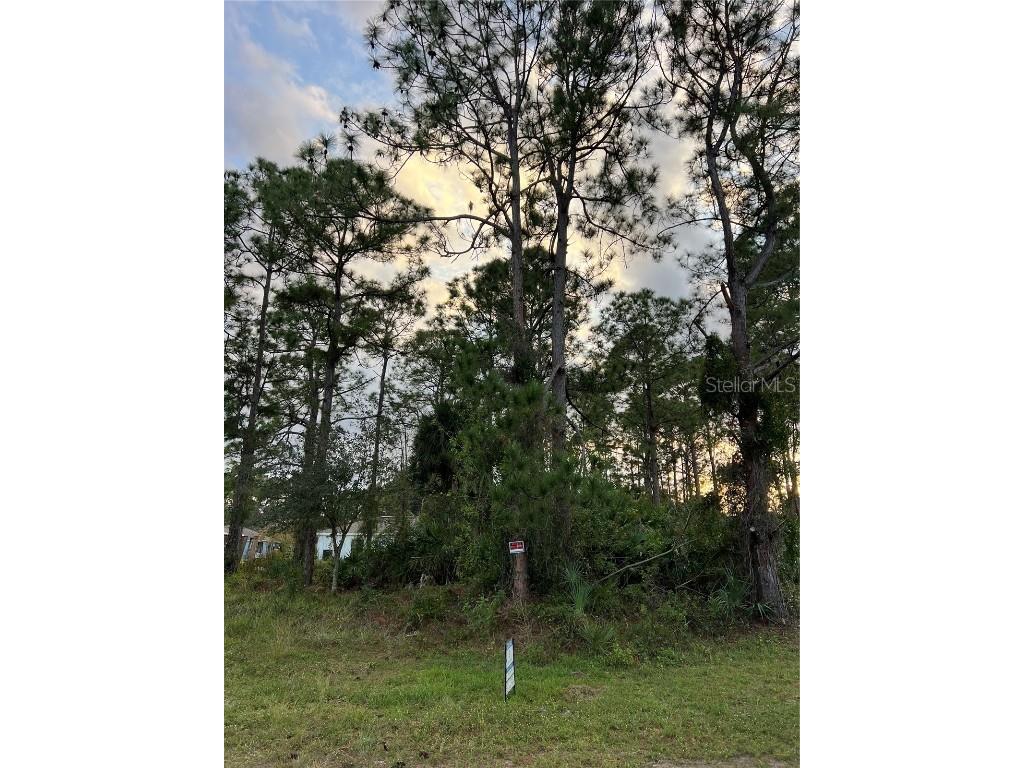 1292 Daton Road SW Palm Bay FL 32908 O6269315 image1