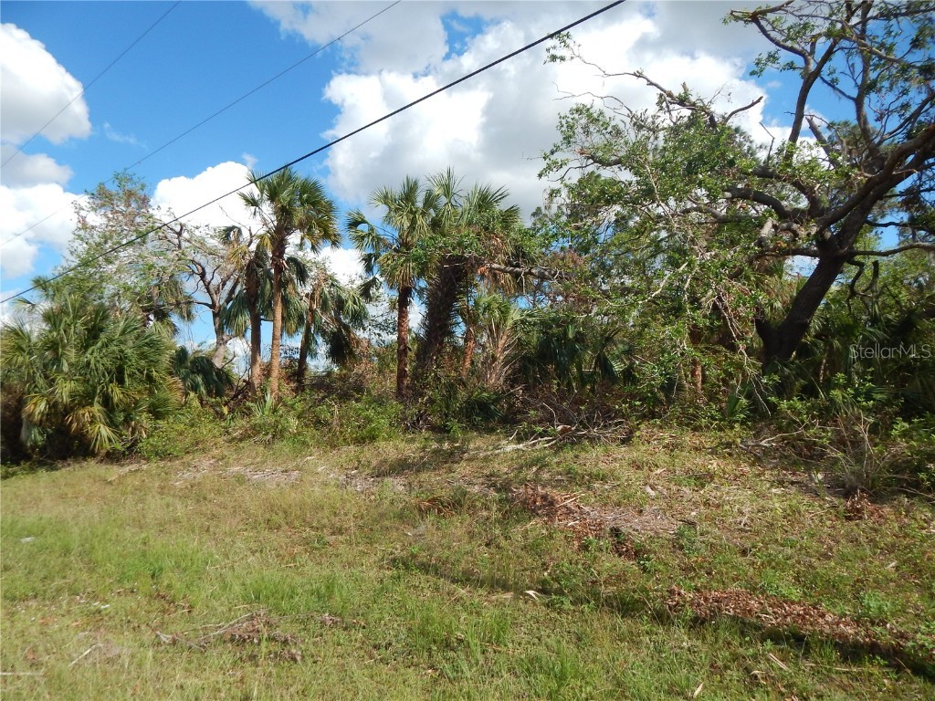 1292 Eppinger Drive Port Charlotte FL 33953 - JUPITER WATERWAY. C7468233 image4