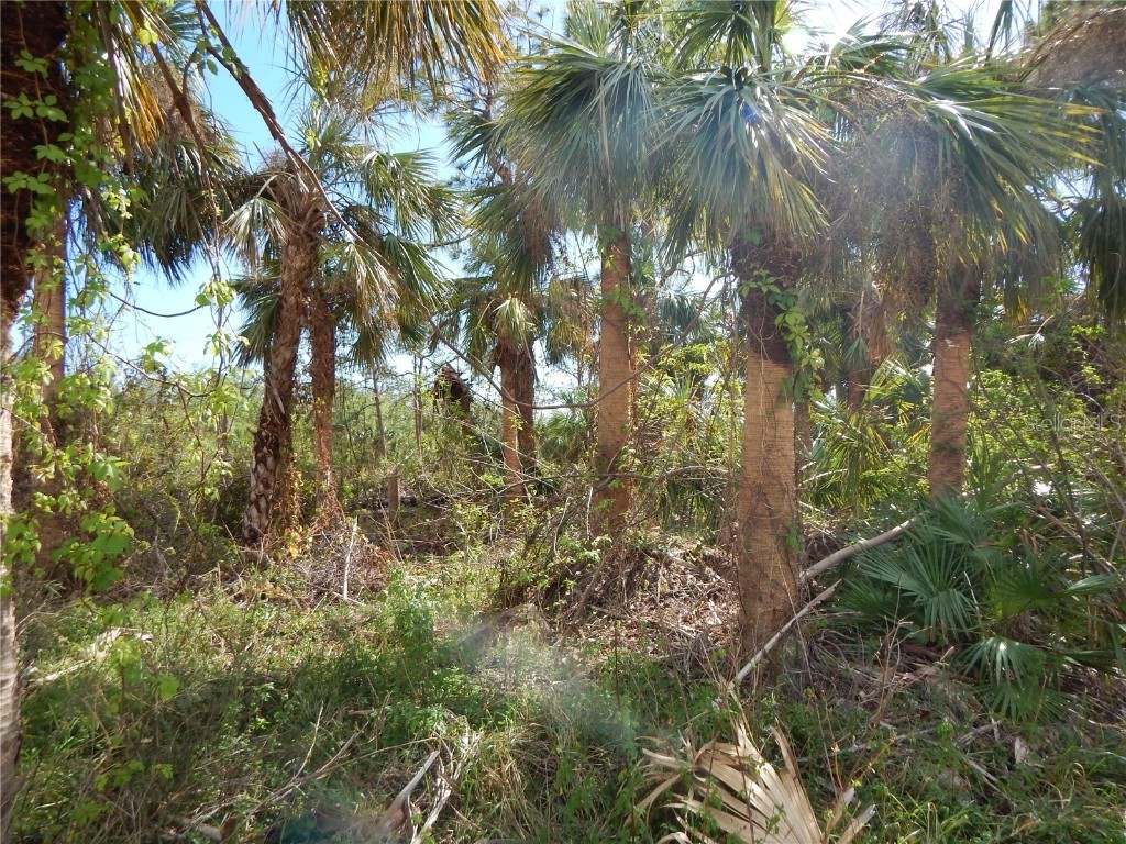 1292 Eppinger Drive Port Charlotte FL 33953 - JUPITER WATERWAY. C7468243 image13