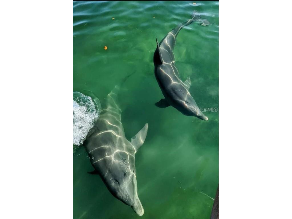 1292 Eppinger Drive Port Charlotte FL 33953 - JUPITER WATERWAY. C7468243 image32