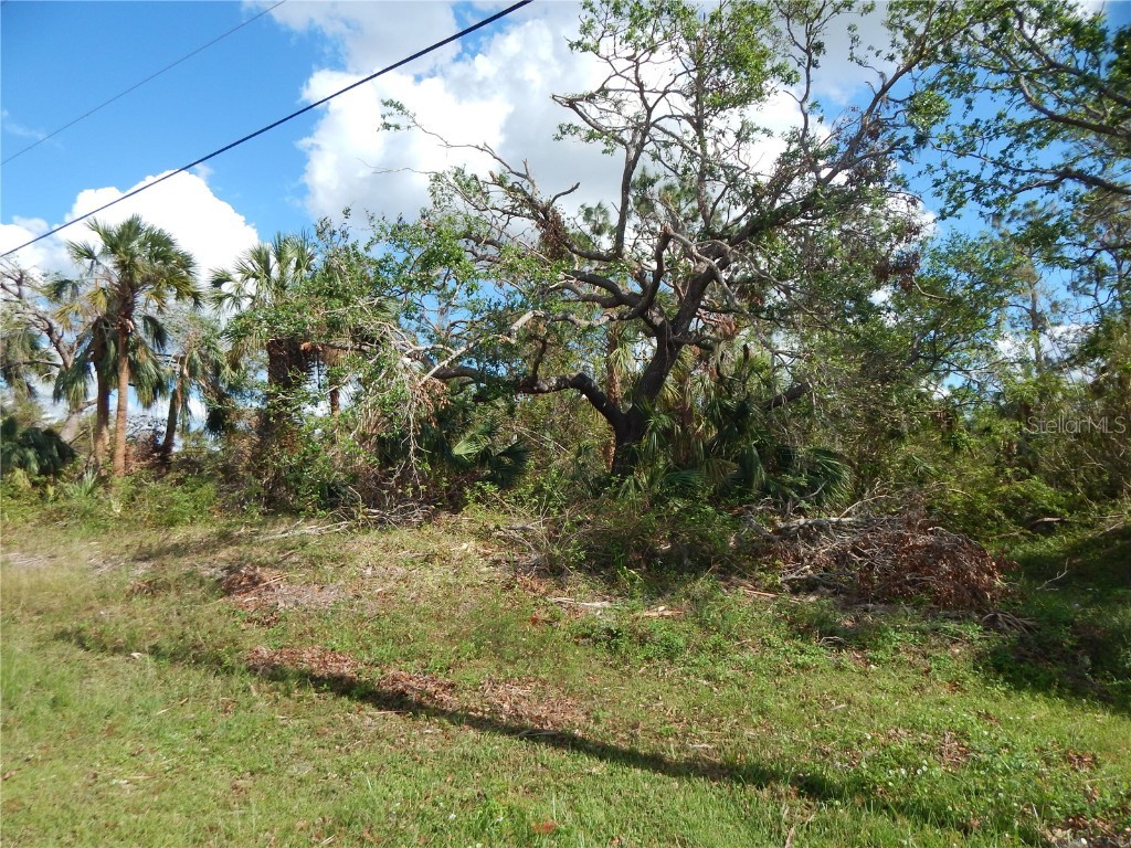 1292 Eppinger Drive Port Charlotte FL 33953 - JUPITER WATERWAY. C7468243 image5