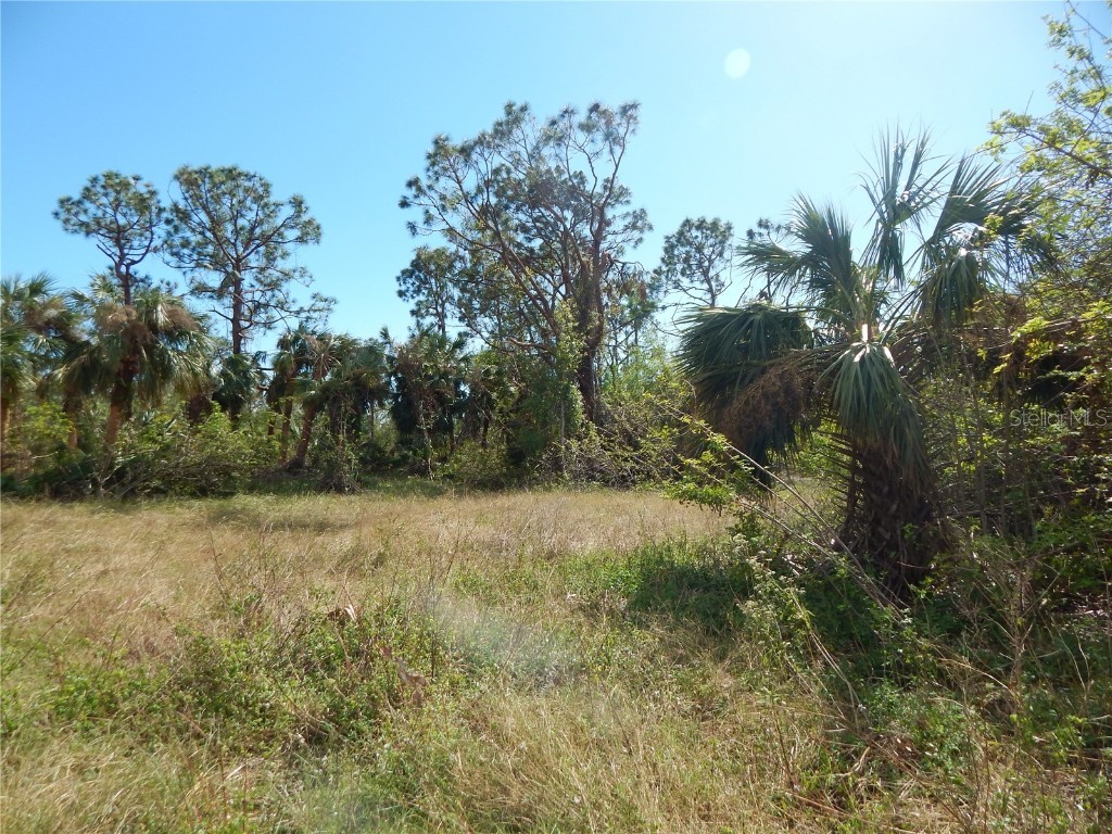 1292 Eppinger Drive Port Charlotte FL 33953 - JUPITER WATERWAY. C7468243 image6