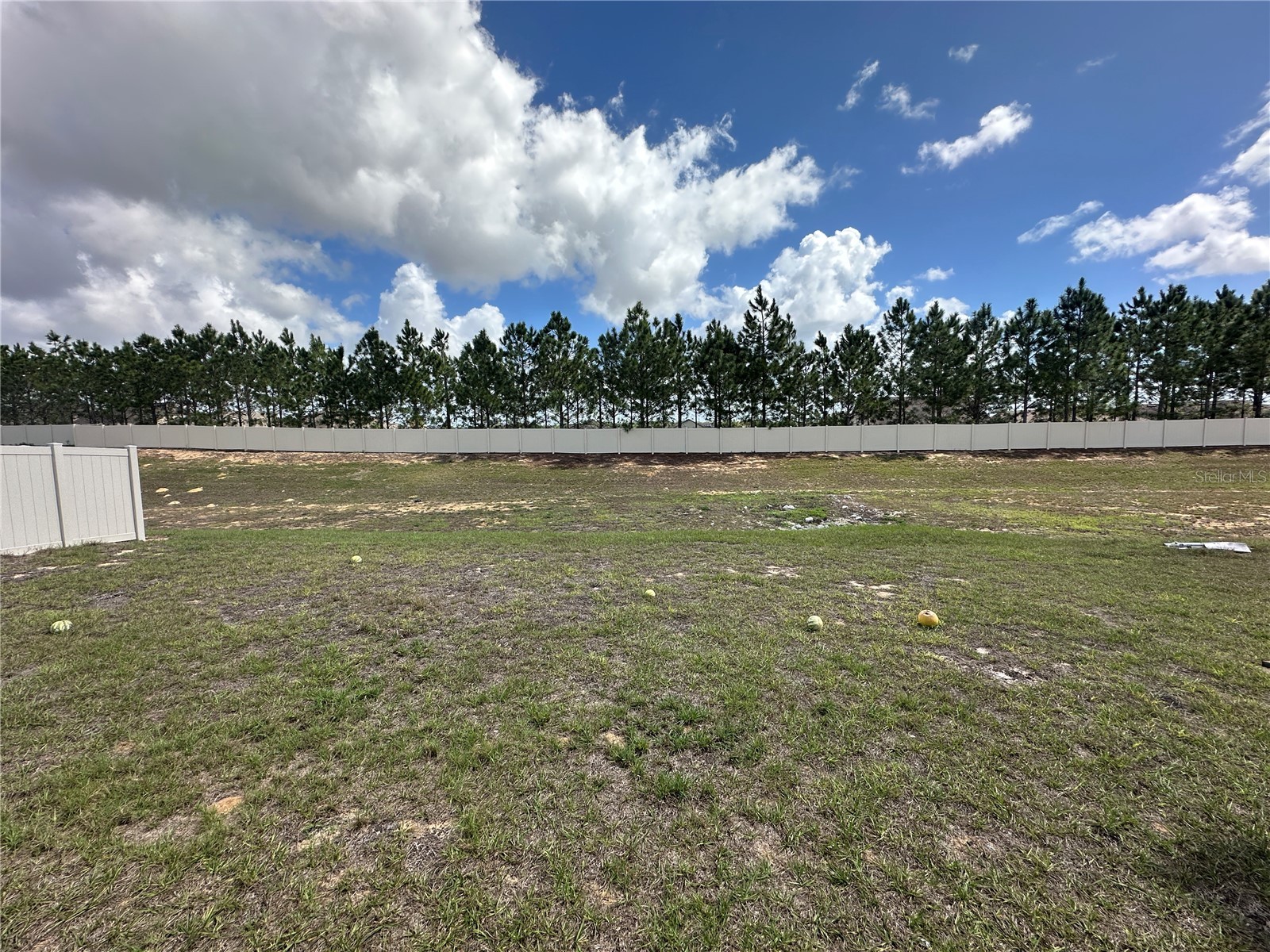 1292 Sugarwood Street Davenport FL 33837 O6388679 image20