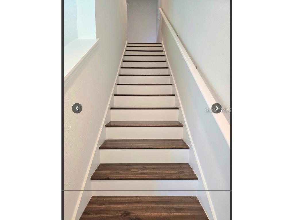 1292 Yellow Finch Drive Davenport FL 33837 TB8458210 image9