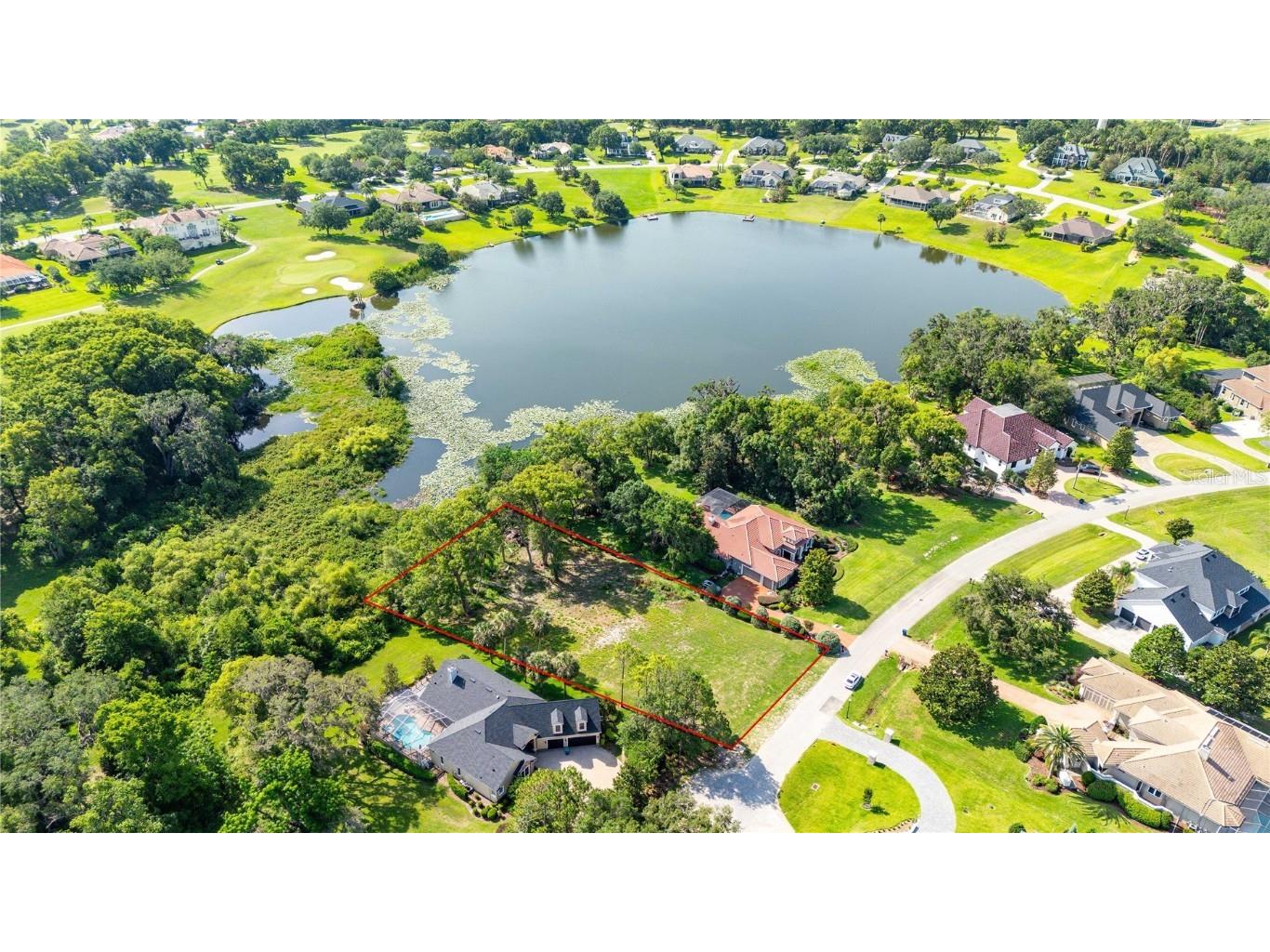 12920 Ventana Ct Dade City FL 33523 TB8387532 image11