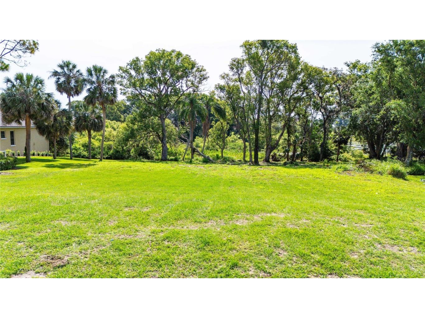 12920 Ventana Ct Dade City FL 33523 TB8387532 image2