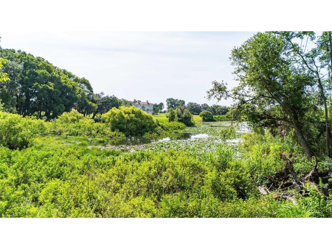 12920 Ventana Ct Dade City FL 33523 TB8387532 image5