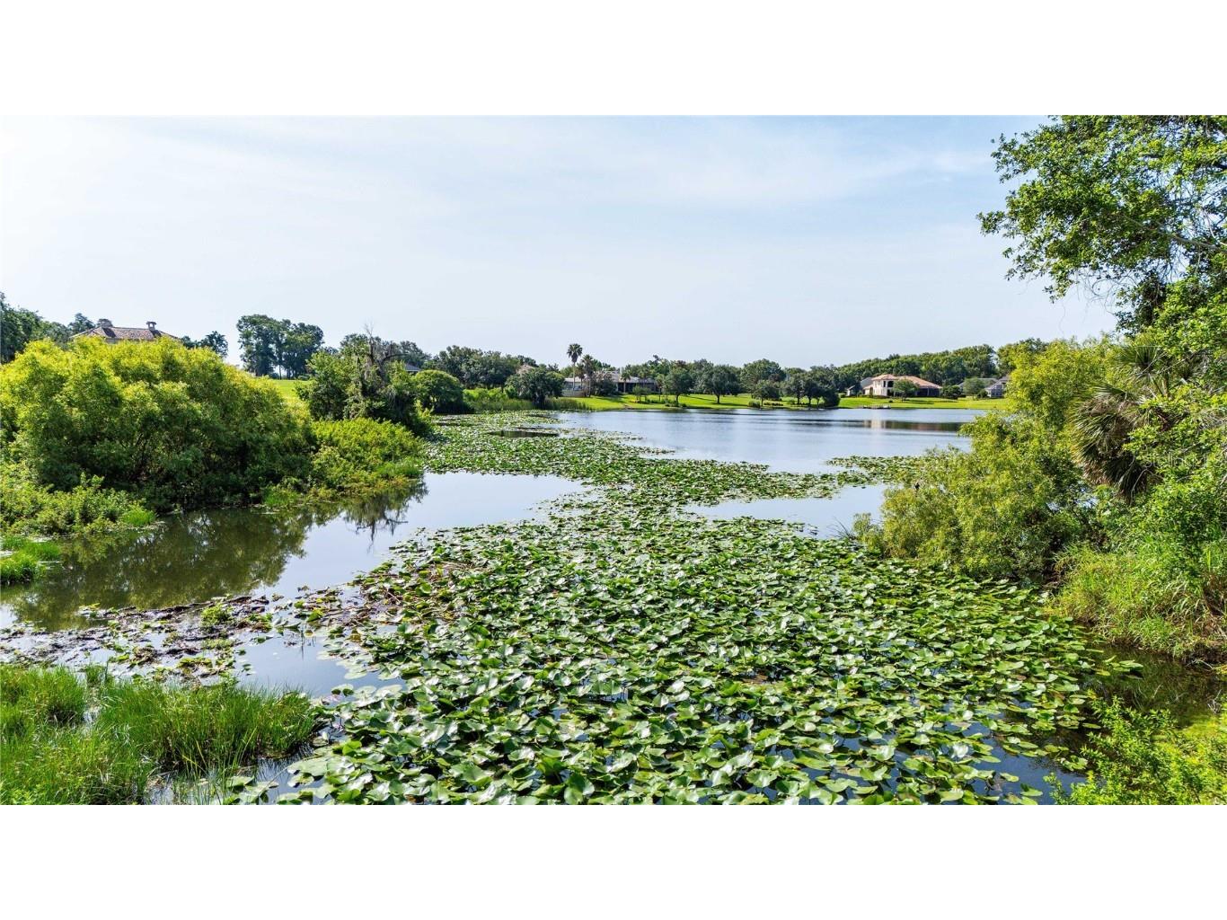 12920 Ventana Ct Dade City FL 33523 TB8387532 image6