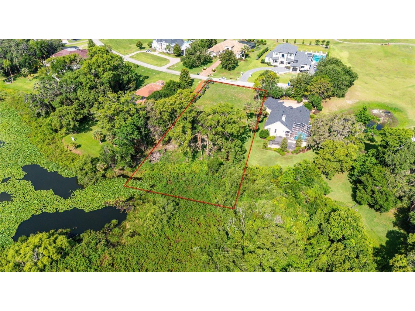 12920 Ventana Ct Dade City FL 33523 TB8387532 image7