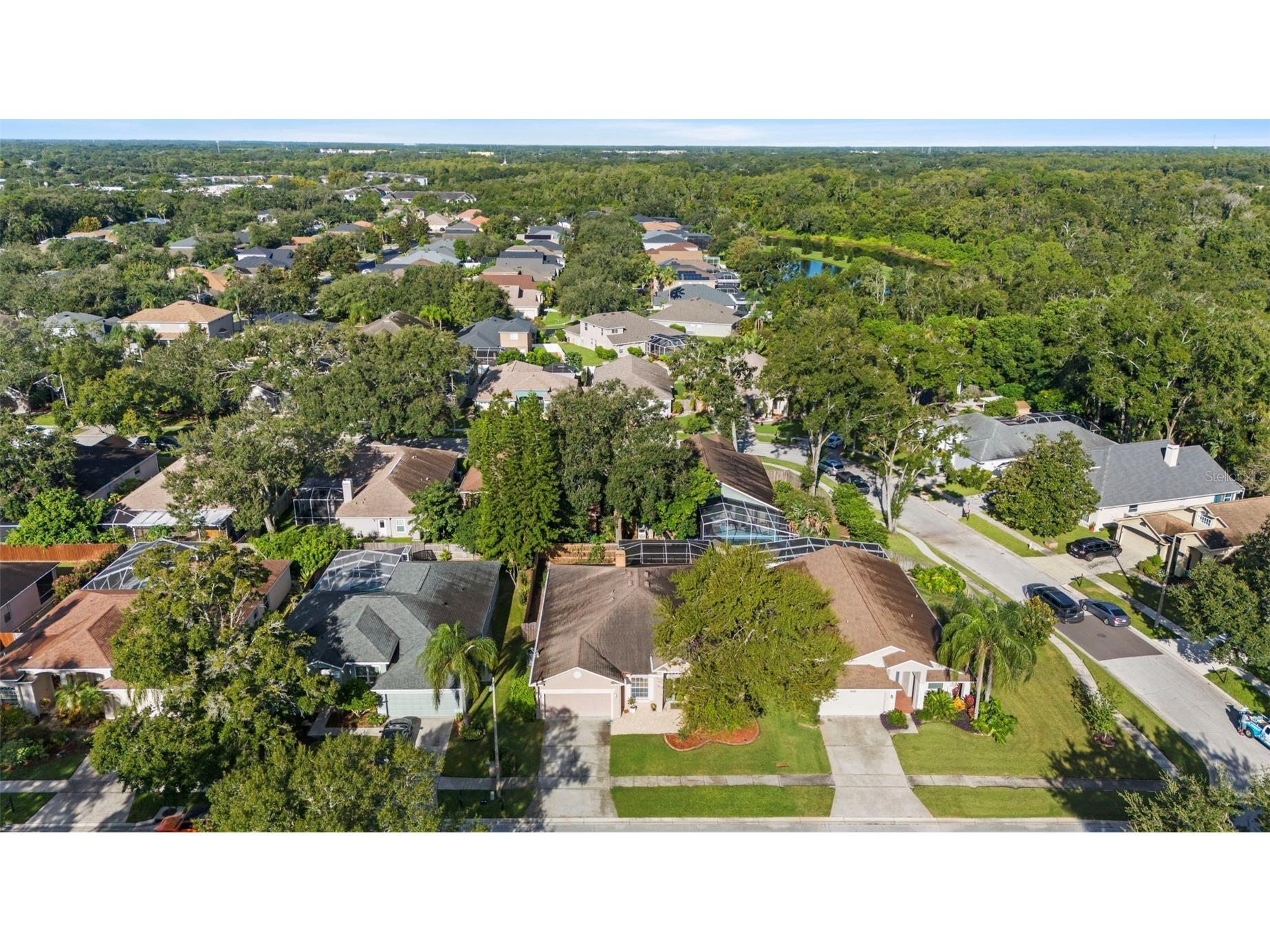 12922 Lake Ventana Drive Tampa FL 33625 TB8428974 image53