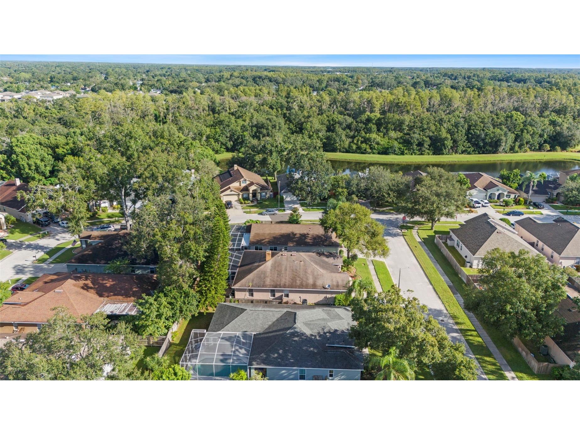 12922 Lake Ventana Drive Tampa FL 33625 TB8428974 image55