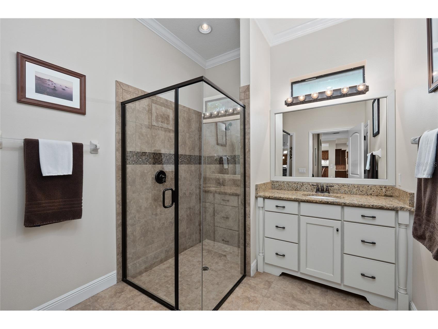 12922 Red Cardinal Drive Odessa FL 33556 TB8433836 image22