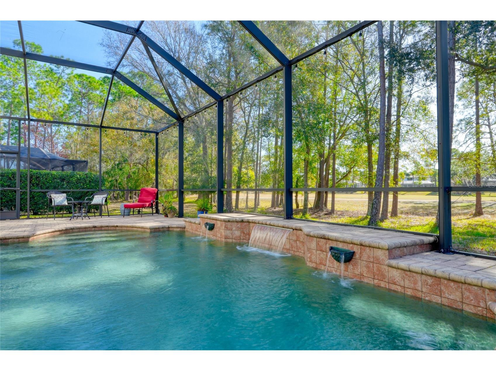 12922 Red Cardinal Drive Odessa FL 33556 TB8433836 image23