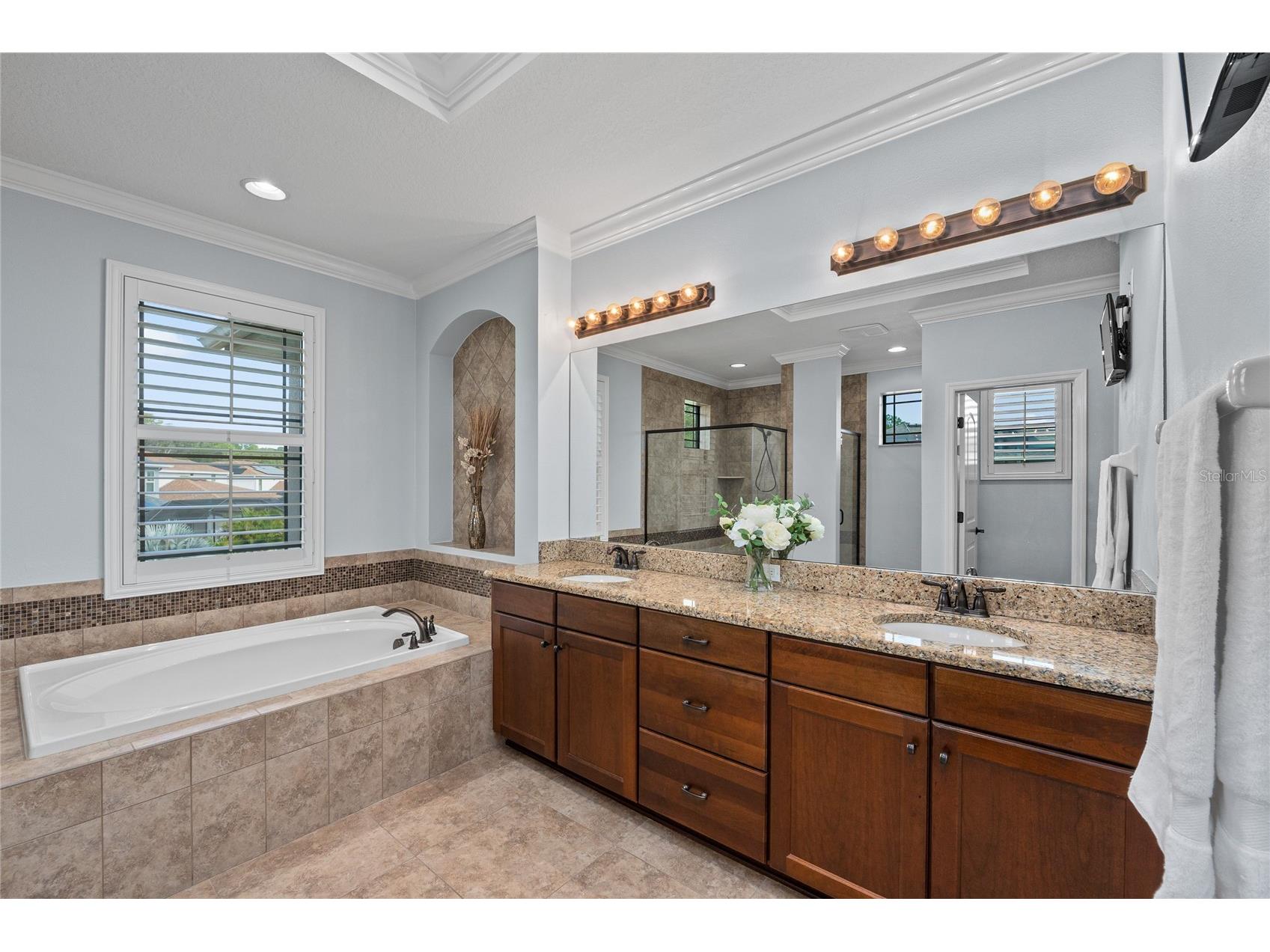 12922 Red Cardinal Drive Odessa FL 33556 TB8433836 image33