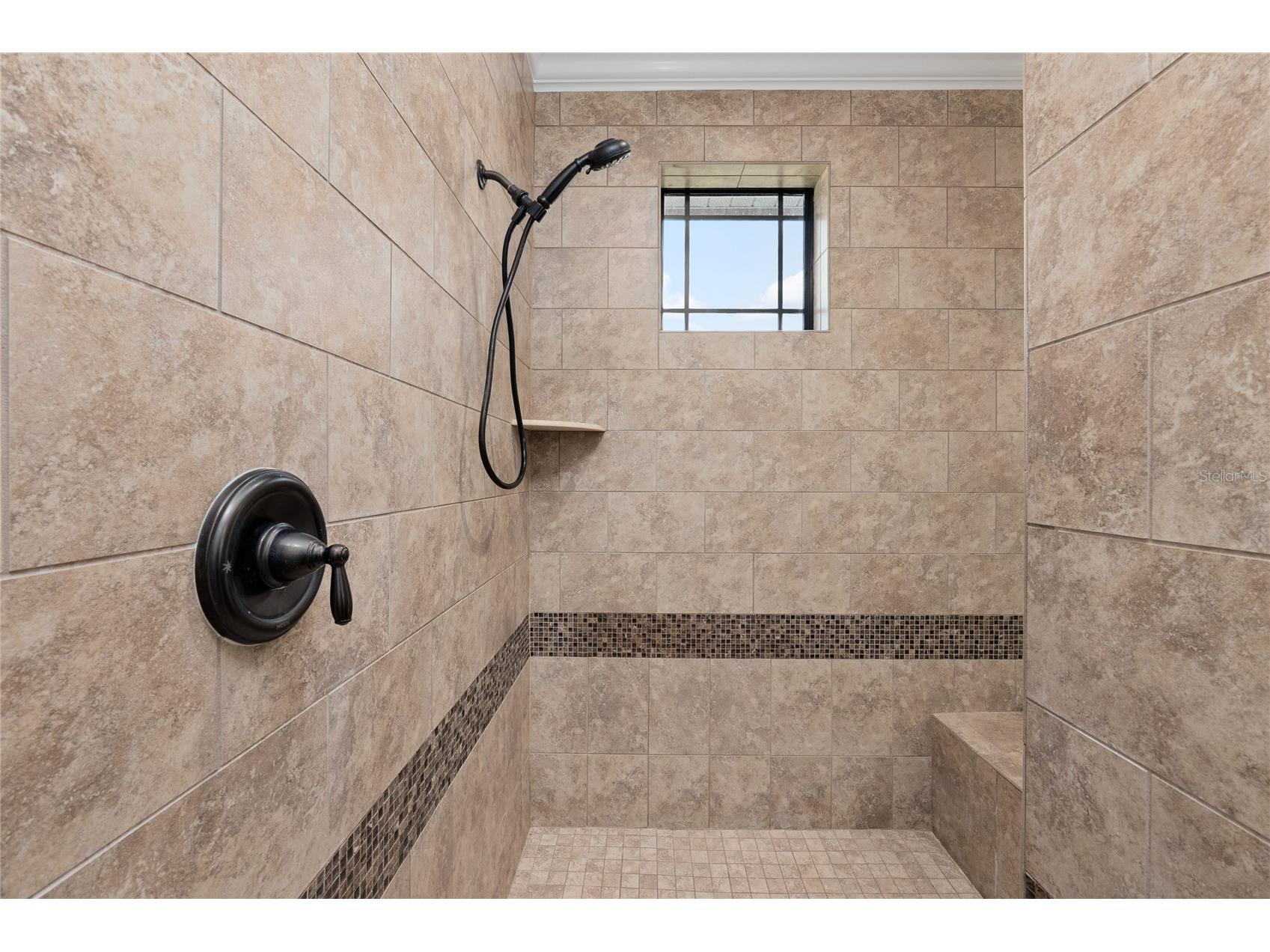 12922 Red Cardinal Drive Odessa FL 33556 TB8433836 image35