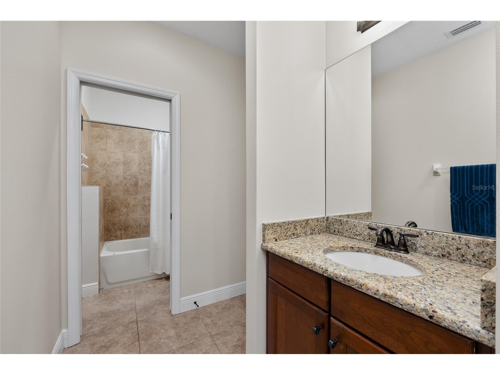 12922 Red Cardinal Drive Odessa FL 33556 TB8433836 image39