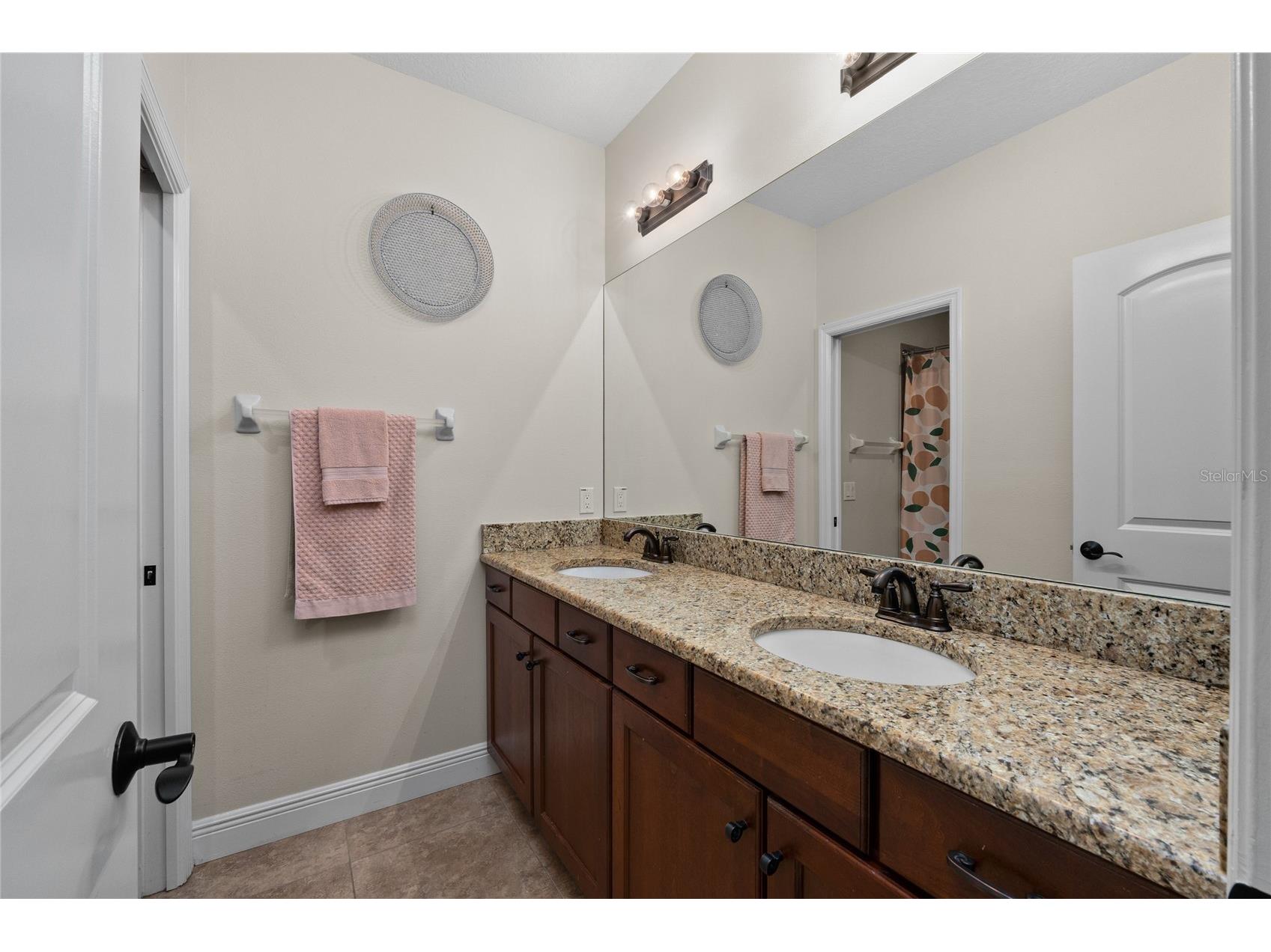 12922 Red Cardinal Drive Odessa FL 33556 TB8433836 image40