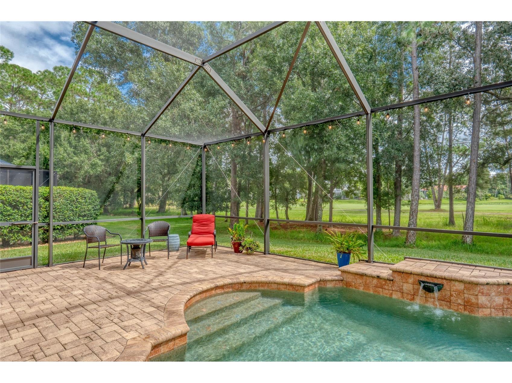 12922 Red Cardinal Drive Odessa FL 33556 TB8433836 image42