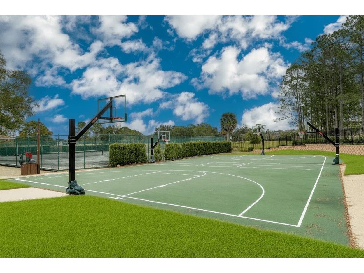 12922 Red Cardinal Drive Odessa FL 33556 TB8433836 image43