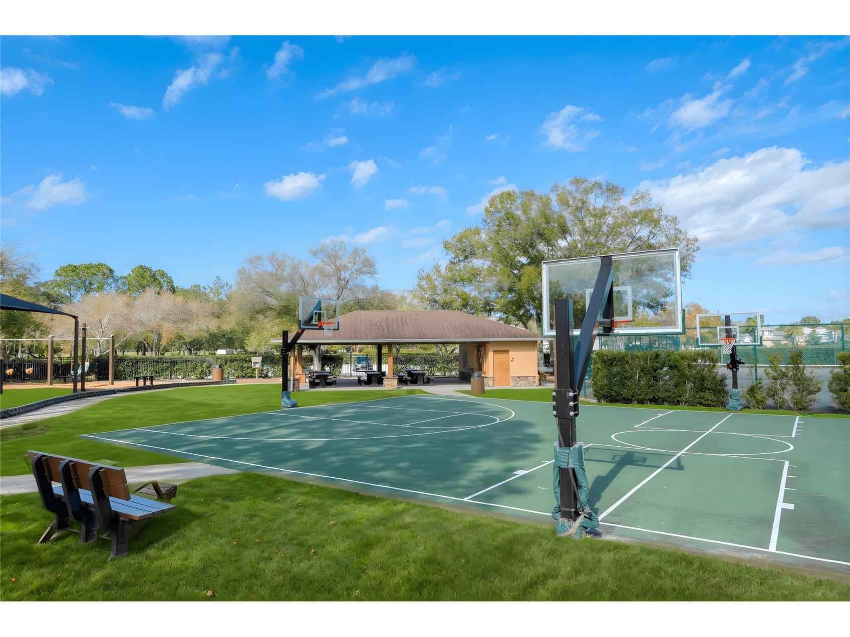 12922 Red Cardinal Drive Odessa FL 33556 TB8433836 image44