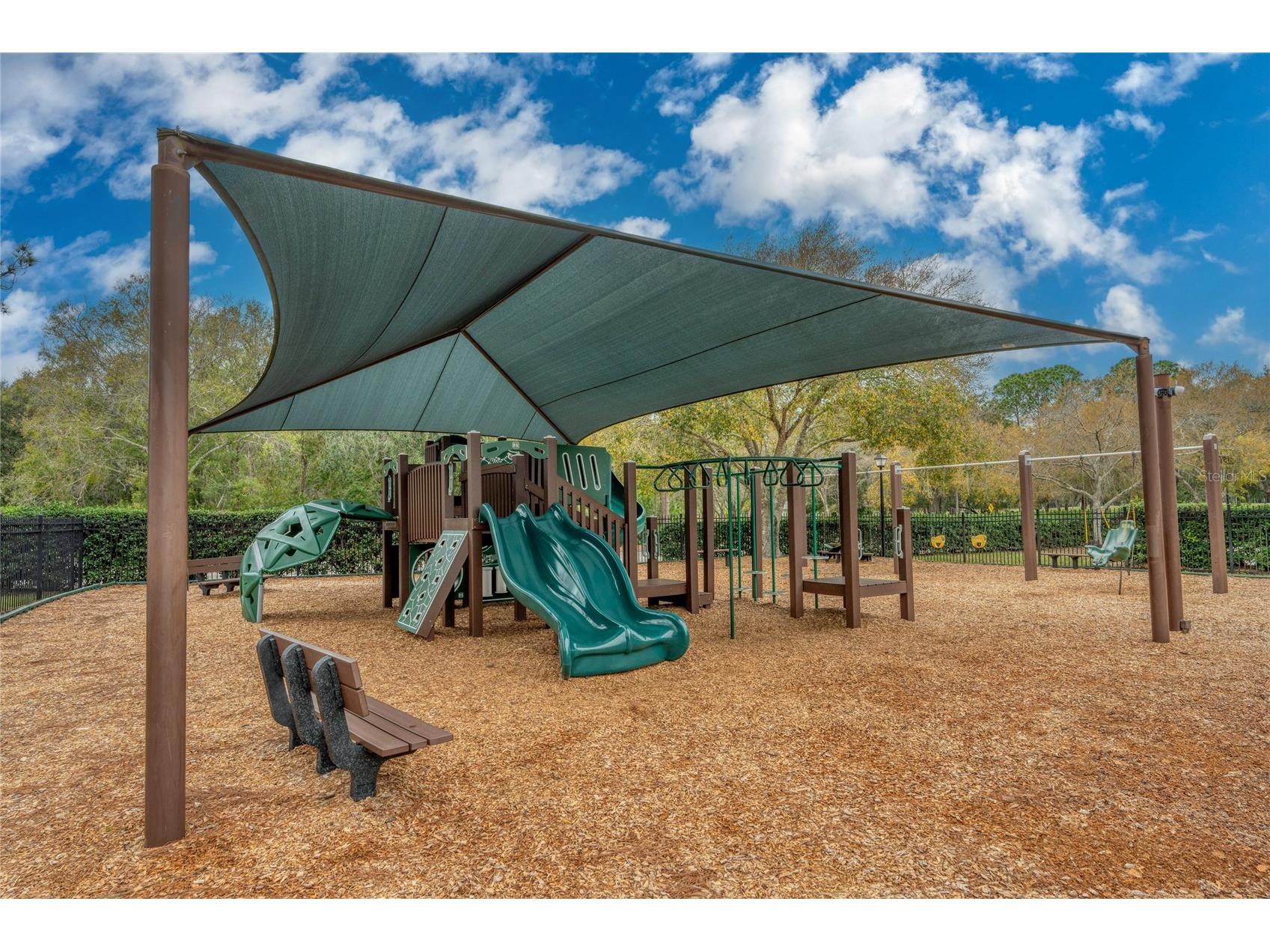 12922 Red Cardinal Drive Odessa FL 33556 TB8433836 image46