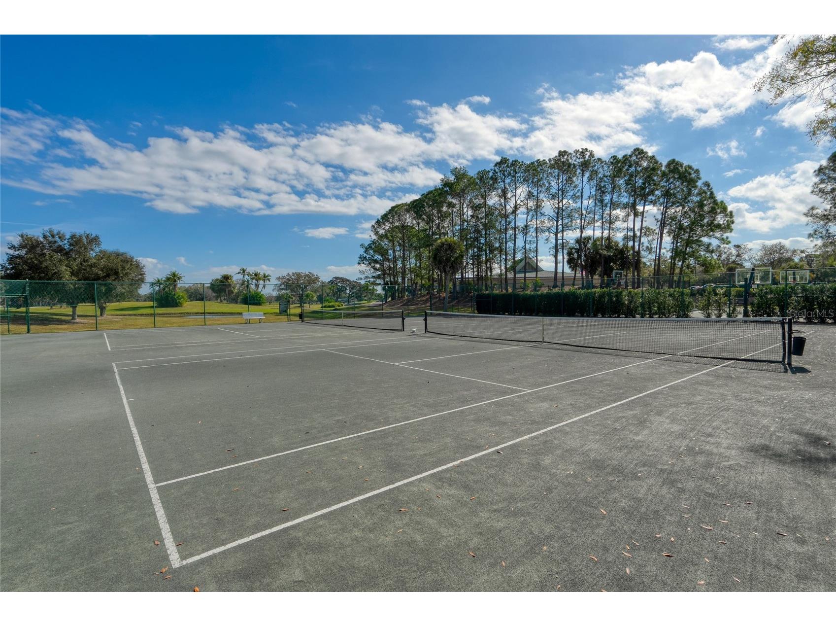 12922 Red Cardinal Drive Odessa FL 33556 TB8433836 image49