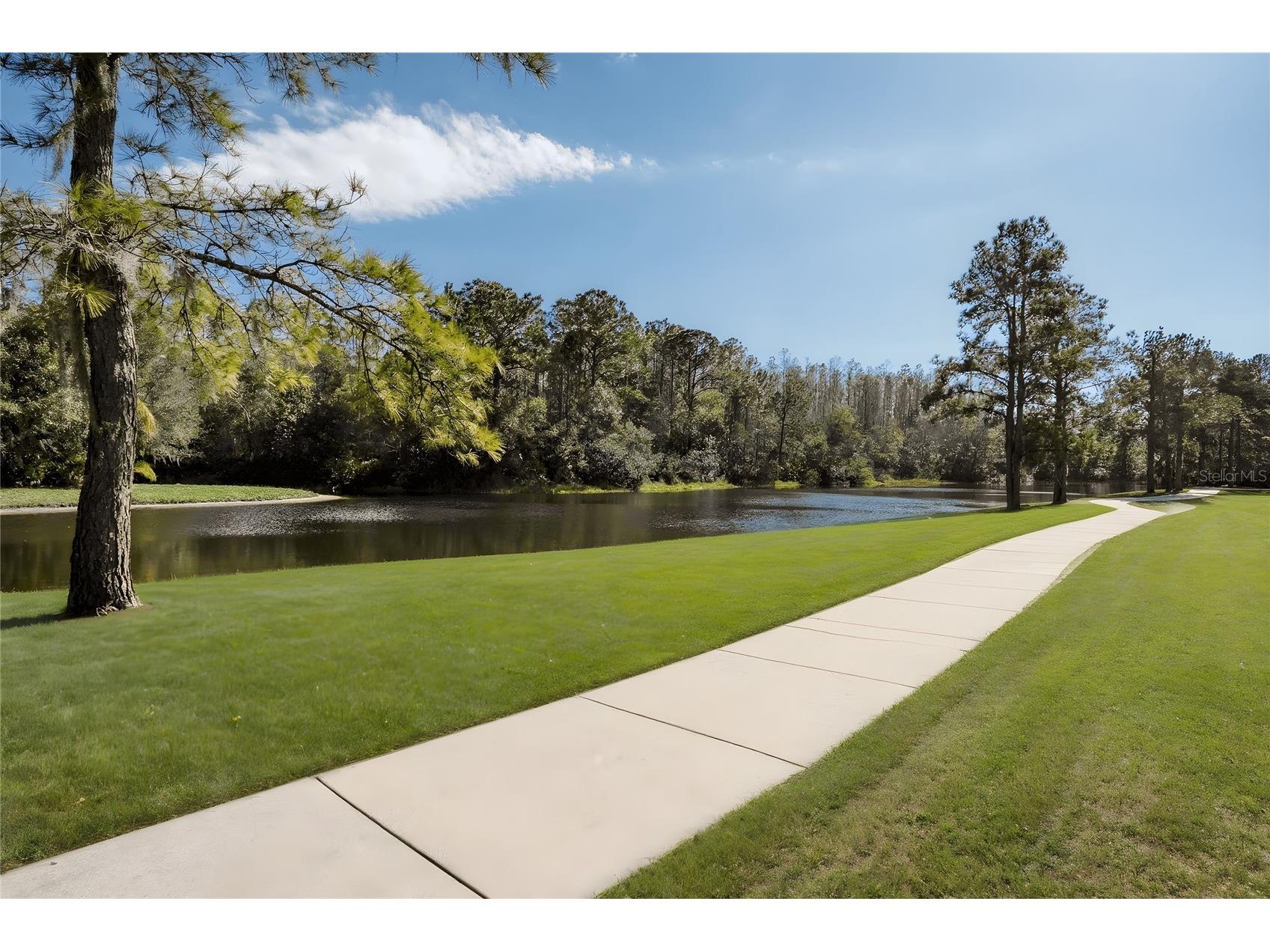 12922 Red Cardinal Drive Odessa FL 33556 TB8433836 image58