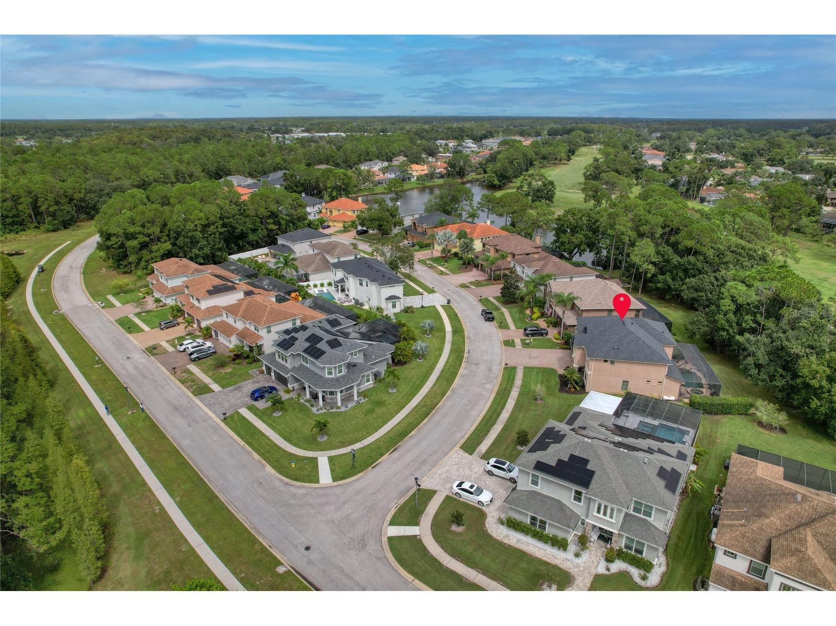 12922 Red Cardinal Drive Odessa FL 33556 TB8433836 image6