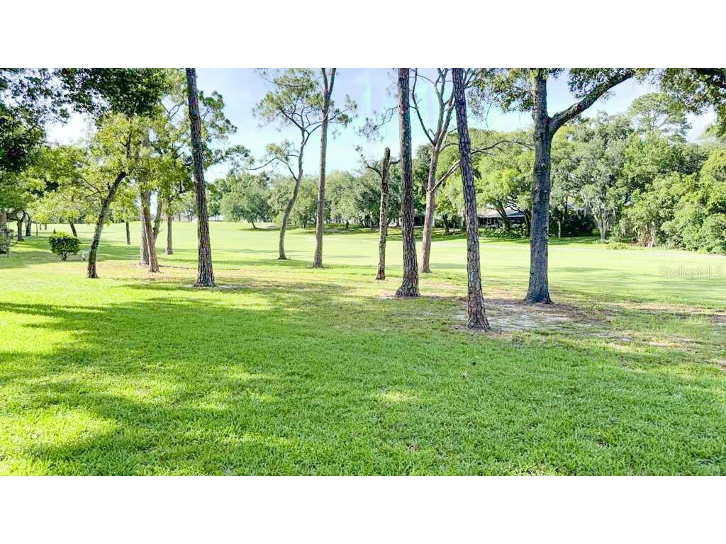12922 Wedgewood Way #A Hudson FL 34667 TB8511875 image56