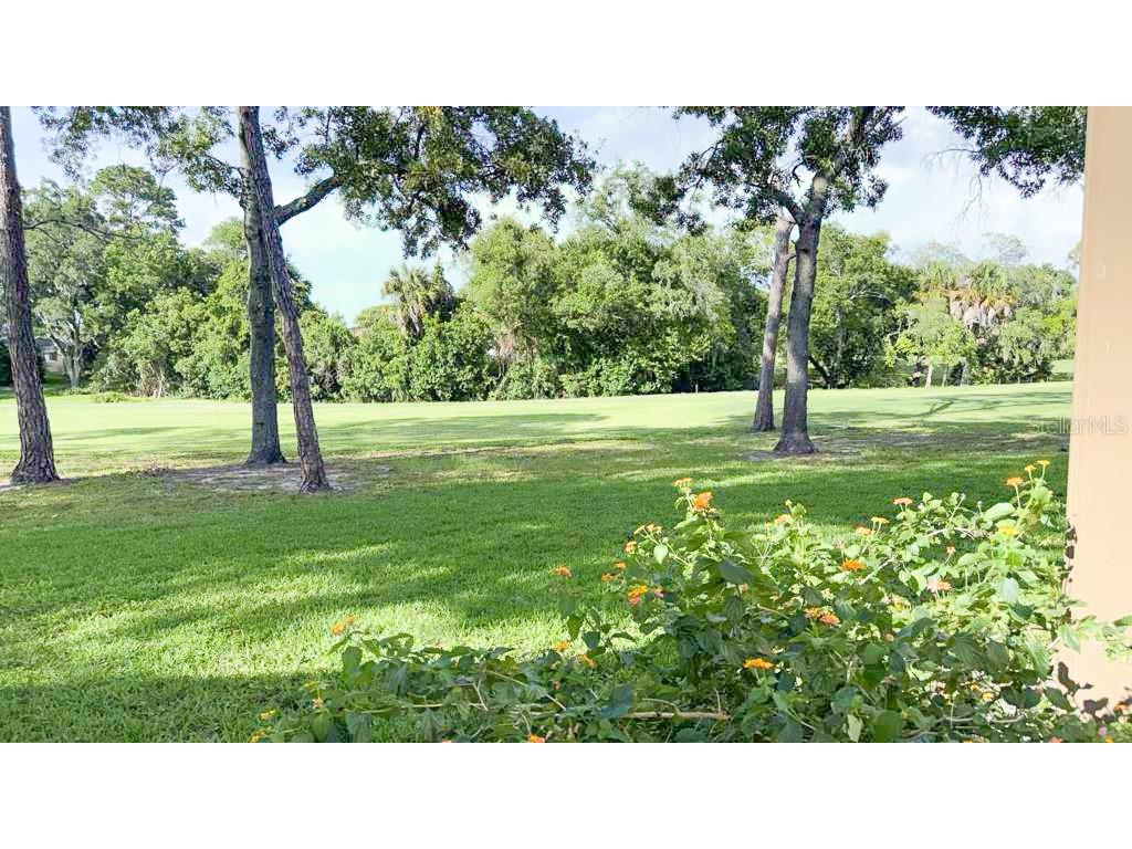 12922 Wedgewood Way #A Hudson FL 34667 TB8511875 image57